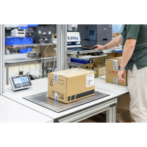 KERN IFC 300K-2 Platform scale