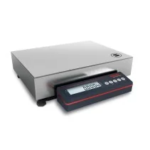 Compact scale Dual Standard 7195 Approvable