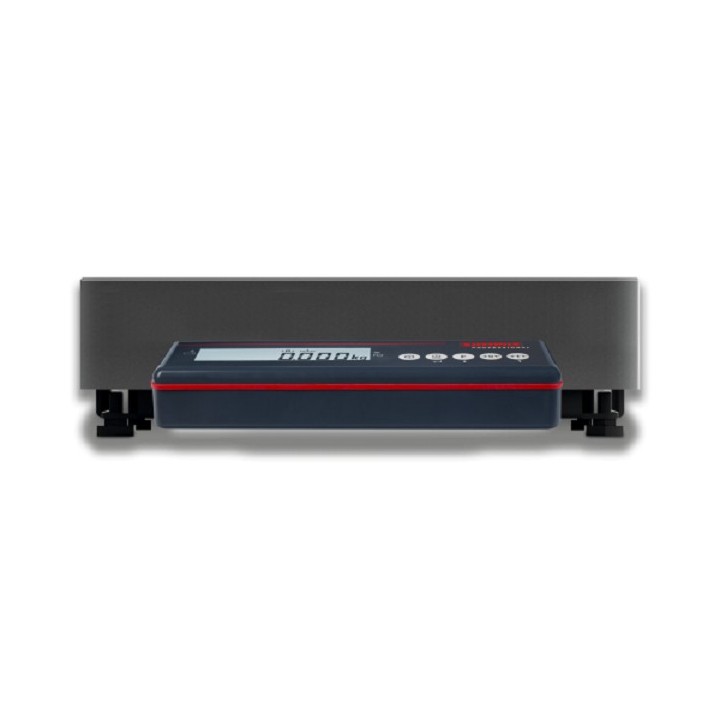 Compact scale Dual Standard 7195 Approvable
