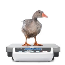 Plattformwaage KERN DE 6K1D