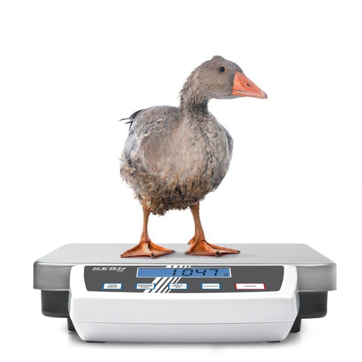 Platform scale KERN DE 15K2D