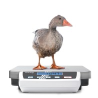 hover-image