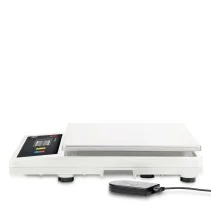 Portion Scale ADE PWI30 avec charge par induction