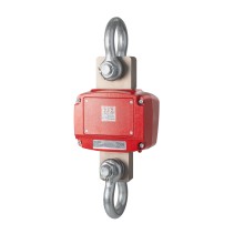 Bilancia da gru KERN HFD 600K-1
