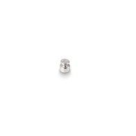 1g Calibration weight KERN OIML Class M1