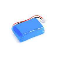 Batteria ricaricabile KERN YKR-01