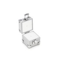 Aluminiumgeschützte Etui für Kalibriergewichte 1g