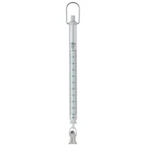 SAUTER 287-106 Spring balance 100g