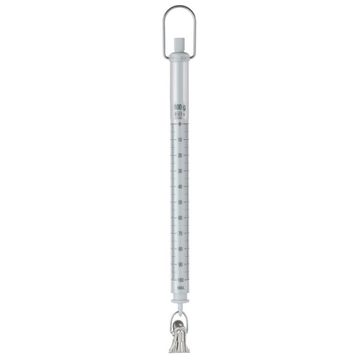 SAUTER 287-106 Spring balance 100g
