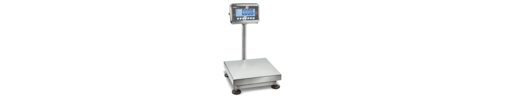 Stainless steel scales protected against dust and water splashes