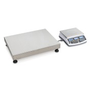 Counting scales
