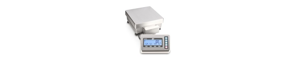 Precision balance KERN FES