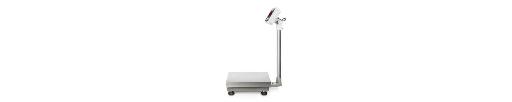 Platform Scale KERN EFC with Battery Pack and LED Display