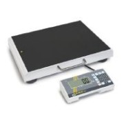 Obesity scales