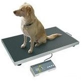 Bilance veterinarie per animali facili da usare con una tecnologia robusta