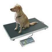 Veterinary scales